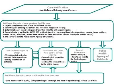 Imported Zika Virus in a European City: How to Prevent Local Transmission?